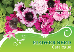 Cerny Catalogue