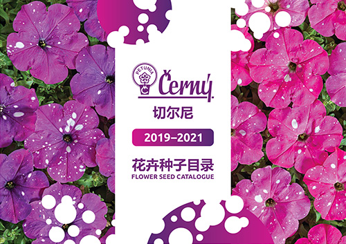 Cerny Catalogue