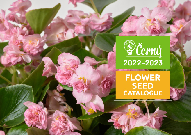Cerny Catalogue