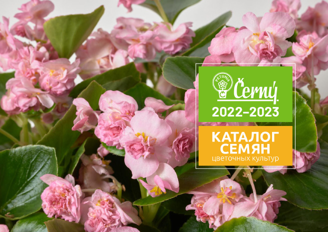Cerny Seed Catalogue