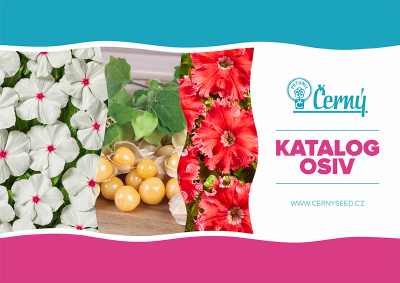 ern katalog 2020